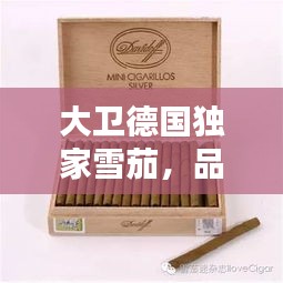 大卫德国独家雪茄，品味烟草艺术的独特魅力