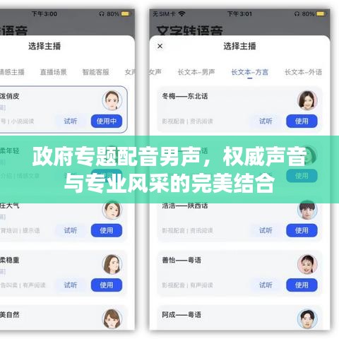 政府专题配音男声，权威声音与专业风采的完美结合