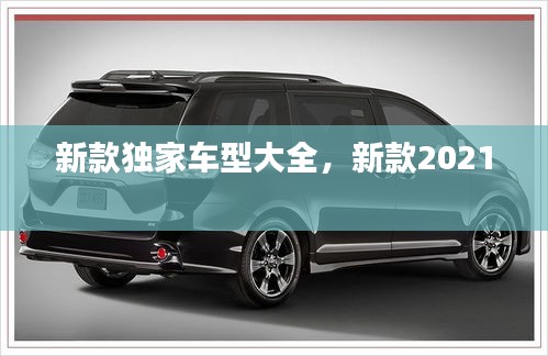 新款独家车型大全，新款2021 