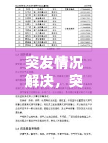 突发情况解决，突发情况处理预案 