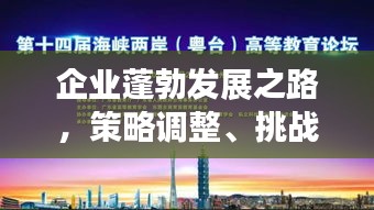 企业蓬勃发展之路，策略调整、挑战应对与未来展望