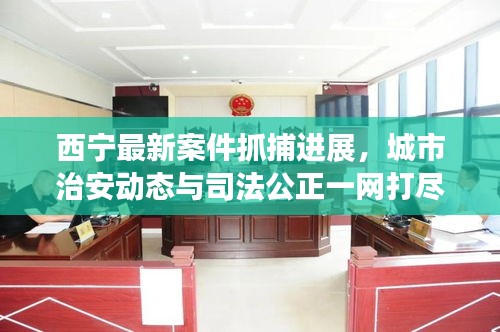 西宁最新案件抓捕进展，城市治安动态与司法公正一网打尽