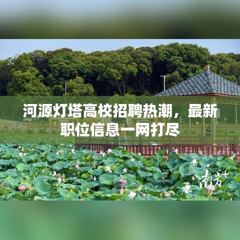 河源灯塔高校招聘热潮，最新职位信息一网打尽