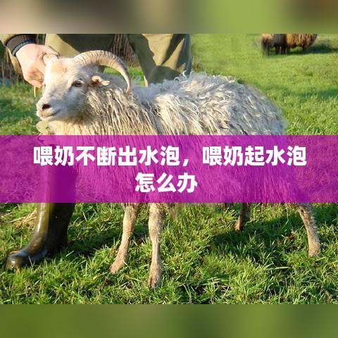 喂奶不断出水泡，喂奶起水泡怎么办 