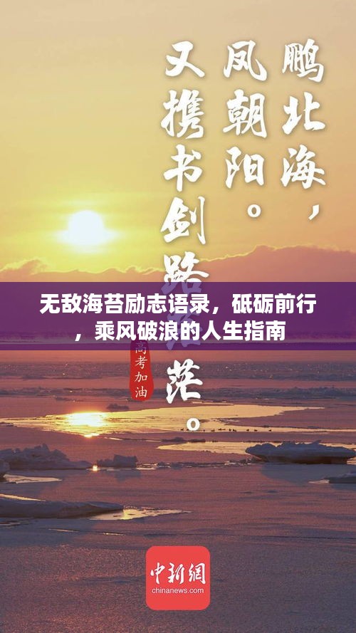 无敌海苔励志语录，砥砺前行，乘风破浪的人生指南