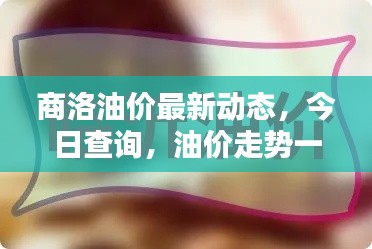 商洛油价最新动态，今日查询，油价走势一网打尽！