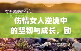 伤情女人逆境中的坚韧与成长，励志语录鼓舞人心