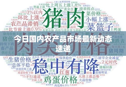 今日国内农产品市场最新动态速递