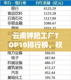 云南钾肥工厂TOP10排行榜，权威排名揭晓！