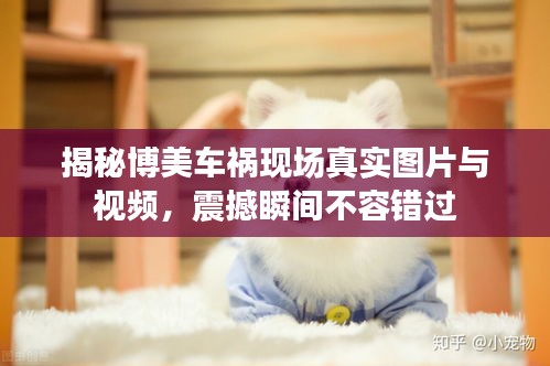 揭秘博美车祸现场真实图片与视频，震撼瞬间不容错过