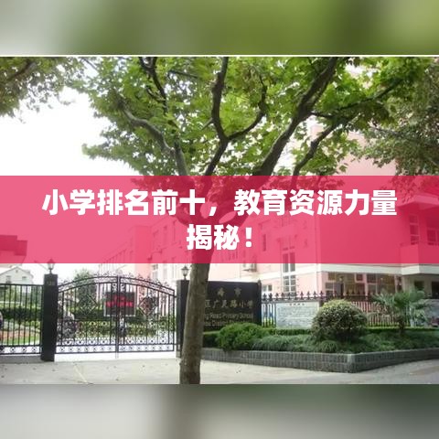 小学排名前十，教育资源力量揭秘！