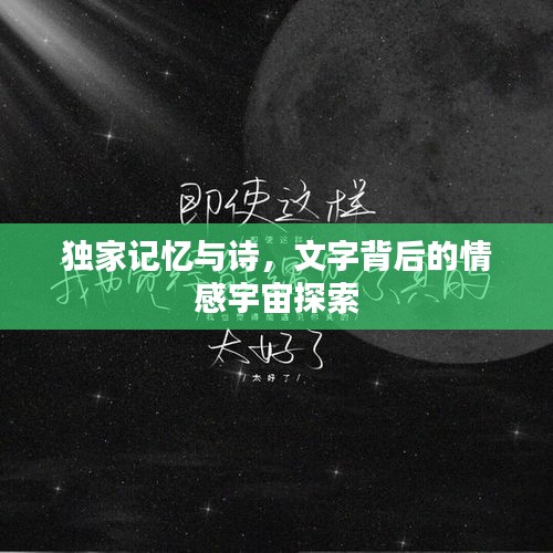 独家记忆与诗，文字背后的情感宇宙探索