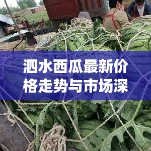 泗水西瓜最新价格走势与市场深度解析