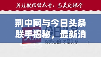 荆中网与今日头条联手揭秘，最新消息一网打尽！