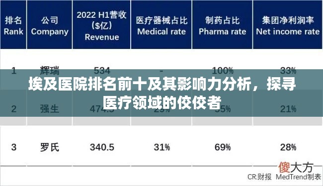 埃及医院排名前十及其影响力分析，探寻医疗领域的佼佼者