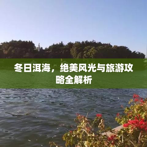 冬日洱海，绝美风光与旅游攻略全解析