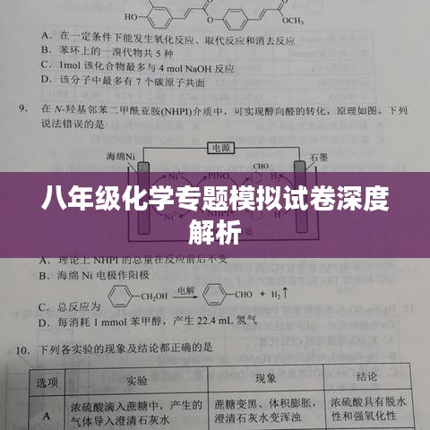 八年级化学专题模拟试卷深度解析