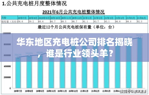 华东地区充电桩公司排名揭晓，谁是行业领头羊？