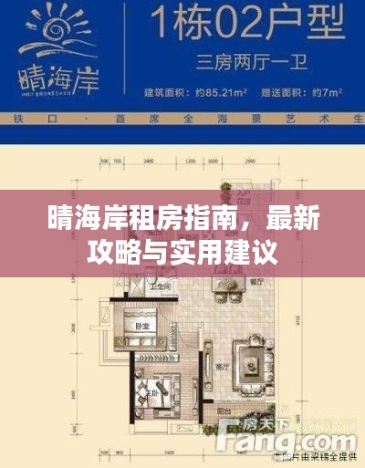 晴海岸租房指南，最新攻略与实用建议