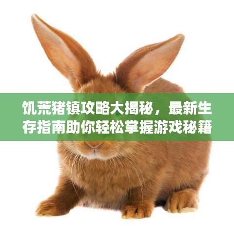 饥荒猪镇攻略大揭秘，最新生存指南助你轻松掌握游戏秘籍！