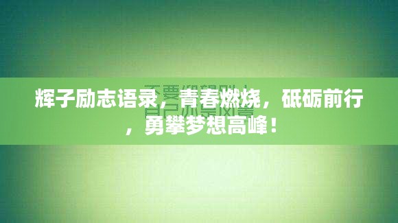 辉子励志语录，青春燃烧，砥砺前行，勇攀梦想高峰！