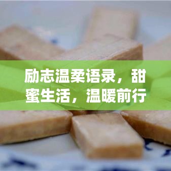 励志温柔语录，甜蜜生活，温暖前行