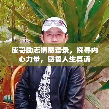 成哥励志情感语录，探寻内心力量，感悟人生真谛