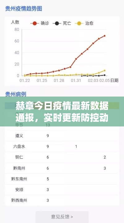 赫章今日疫情最新数据通报，实时更新防控动态！