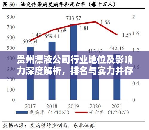 贵州漂液公司行业地位及影响力深度解析，排名与实力并存