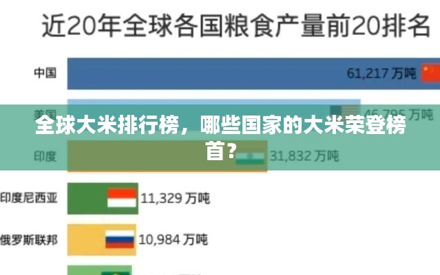 全球大米排行榜，哪些国家的大米荣登榜首？