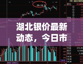 湖北银价最新动态，今日市场走势、影响因素深度解析