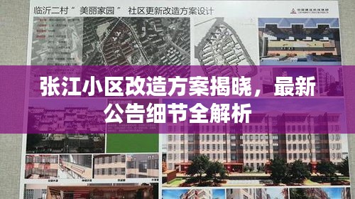 张江小区改造方案揭晓，最新公告细节全解析