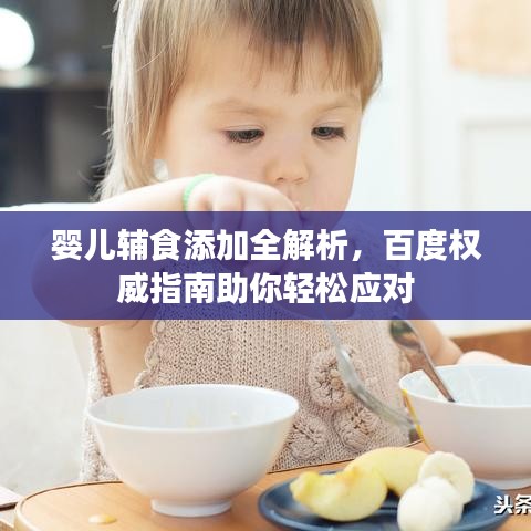 婴儿辅食添加全解析，百度权威指南助你轻松应对