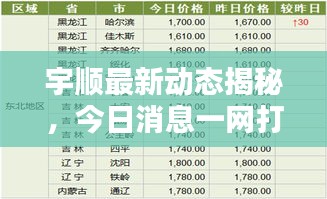 2025年1月25日 第12页