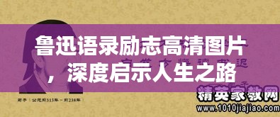 鲁迅语录励志高清图片，深度启示人生之路