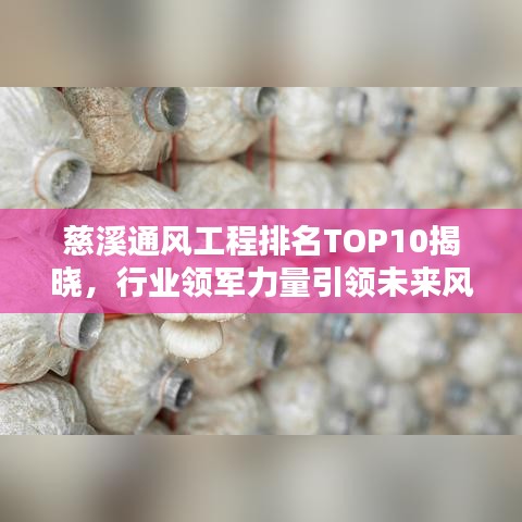 慈溪通风工程排名TOP10揭晓，行业领军力量引领未来风潮