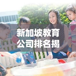 新加坡教育公司排名揭秘，影响力与优质教育资源的完美结合