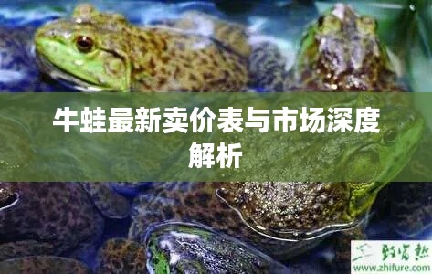 牛蛙最新卖价表与市场深度解析