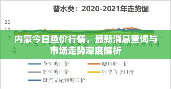 内蒙今日鱼价行情，最新消息查询与市场走势深度解析