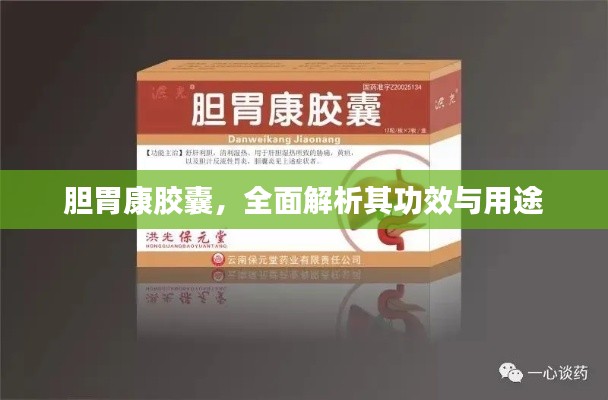 胆胃康胶囊，全面解析其功效与用途