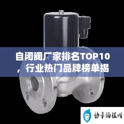 自闭阀厂家排名TOP10，行业热门品牌榜单揭晓！