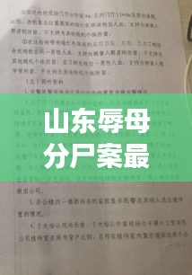 山东辱母分尸案最新判决书解读，正义的天平如何衡量？