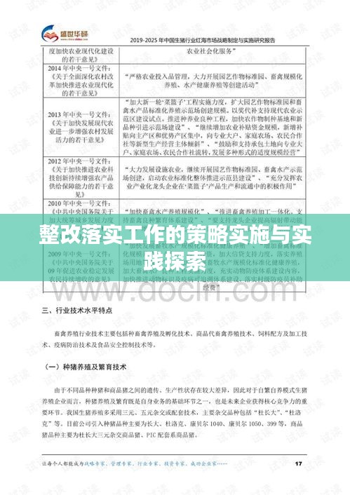 整改落实工作的策略实施与实践探索