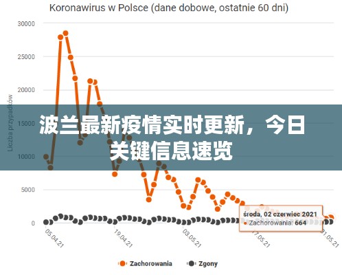 2025年1月29日 第10页