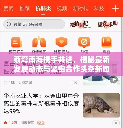 荔湾南海携手共进，揭秘最新发展动态与紧密合作头条新闻