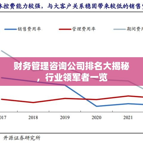 财务管理咨询公司排名大揭秘，行业领军者一览