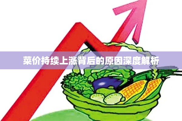 菜价持续上涨背后的原因深度解析