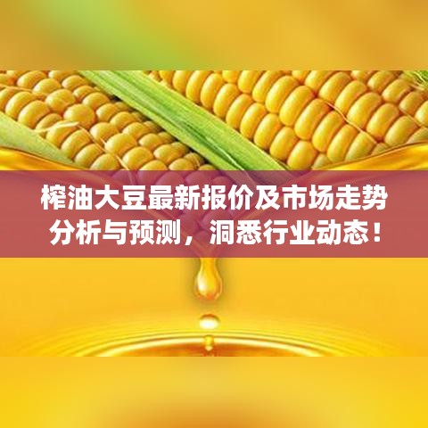 榨油大豆最新报价及市场走势分析与预测，洞悉行业动态！