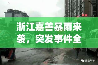 浙江嘉善暴雨来袭，突发事件全解析