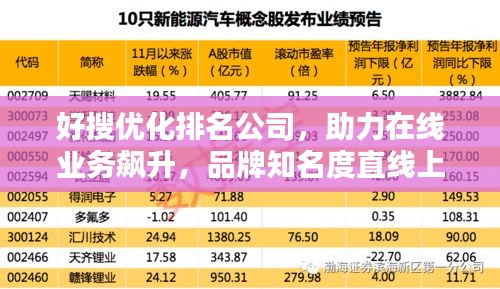 好搜优化排名公司，助力在线业务飙升，品牌知名度直线上升